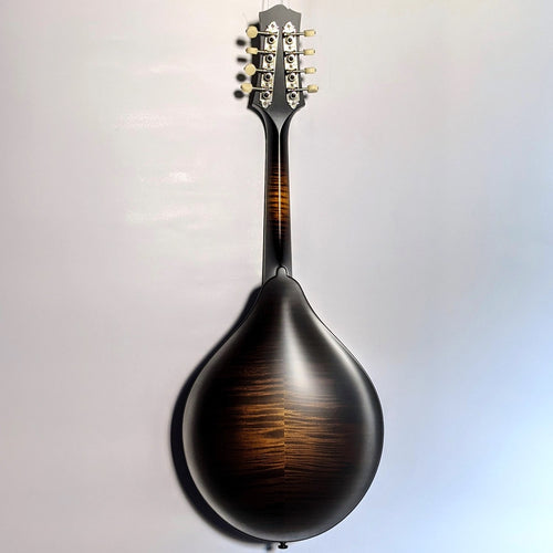 Collings MT Deluxe A Style F Hole Mandolin