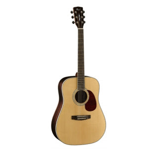 Cort Earth 100 MD Madagascan Rosewood Dread
