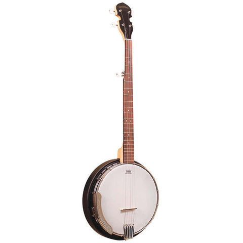 Gold Tone Banjo irlandais ténor