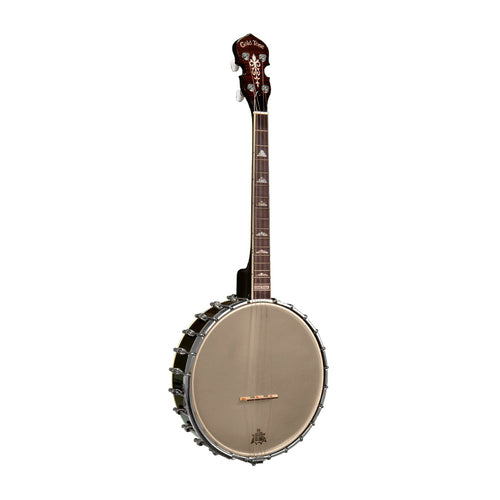 Gold Tone IT-250 Whyte Ladye Irish Tenor Open Back Banjo with case