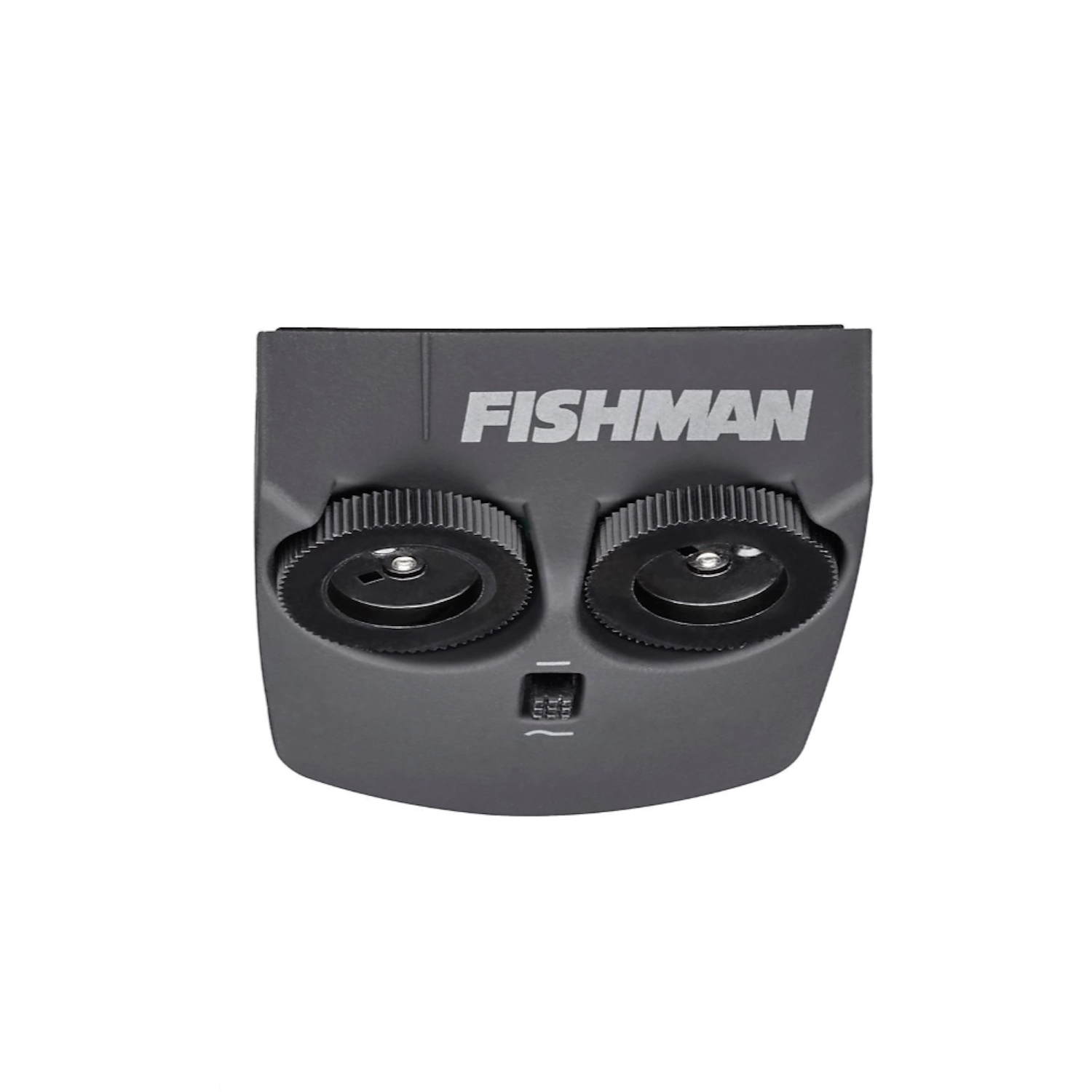 Fishman Matrix Infinity VT Active System Wide Format