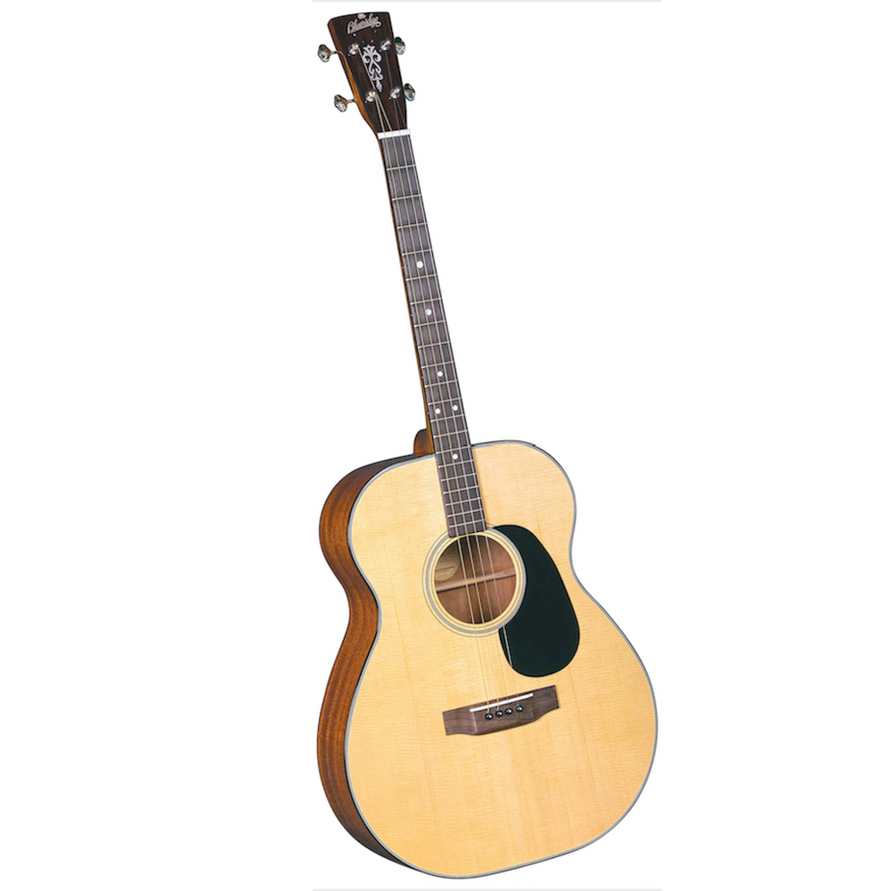 Blueridge online guitars website