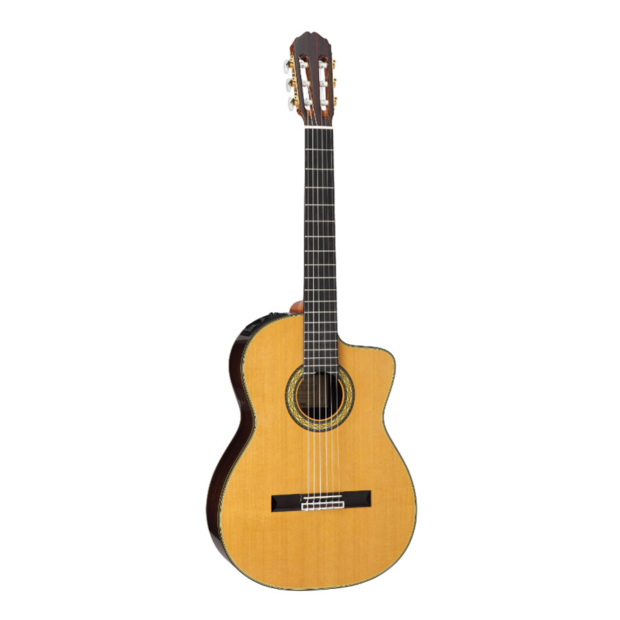 Takamine Acoustic Guitars | Buy Takamine Acoustic Guitars Online 