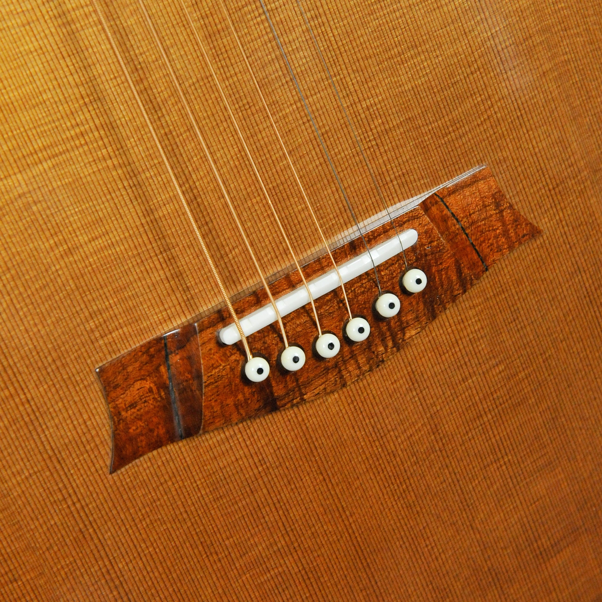 Trevor Gore "Medium Body Fingerpicker"  Cedar/Indian Rosewood Steel String Guitar